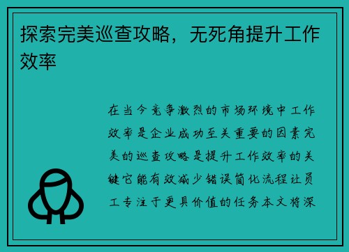 探索完美巡查攻略，无死角提升工作效率